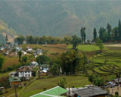 Lachung