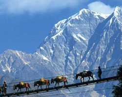 Lachung